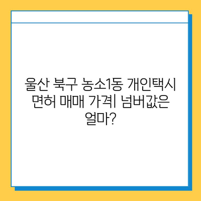 울산 북구 농소1동 개인택시 면허 매매 가격 & 넘버값 (오늘 시세) | 자격조건, 월수입, 양수교육