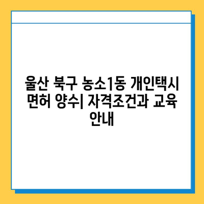 울산 북구 농소1동 개인택시 면허 매매 가격 & 넘버값 (오늘 시세) | 자격조건, 월수입, 양수교육