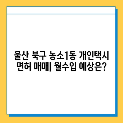 울산 북구 농소1동 개인택시 면허 매매 가격 & 넘버값 (오늘 시세) | 자격조건, 월수입, 양수교육