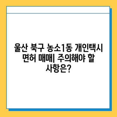 울산 북구 농소1동 개인택시 면허 매매 가격 & 넘버값 (오늘 시세) | 자격조건, 월수입, 양수교육