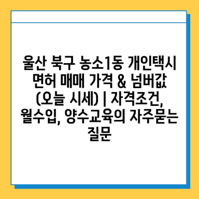 울산 북구 농소1동 개인택시 면허 매매 가격 & 넘버값 (오늘 시세) | 자격조건, 월수입, 양수교육