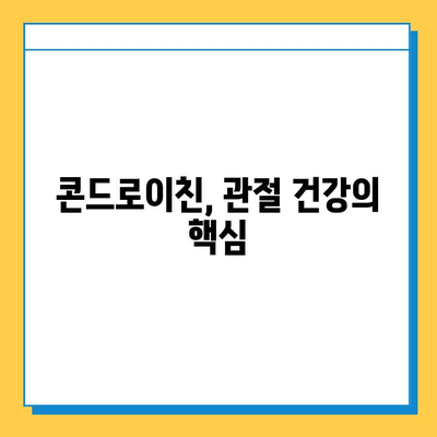 관절 건강 지키는 필수 영양소, 소연골 콘드로이친| 효능과 섭취 가이드 | 관절 건강, 연골 관리, 건강 정보