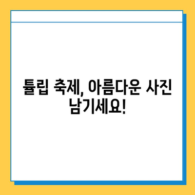 에버랜드 분실물 센터| 튤립축제 & 페어리타운 포토존 이용 안내 | 분실물, 튤립축제, 페어리타운, 포토존, 안내