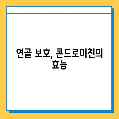 관절 건강 지키는 필수 영양소, 소연골 콘드로이친| 효능과 섭취 가이드 | 관절 건강, 연골 관리, 건강 정보