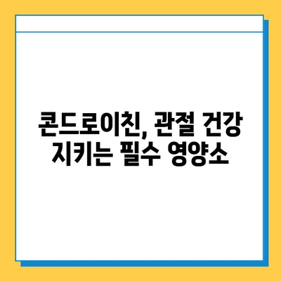 관절 건강 지키는 필수 영양소, 소연골 콘드로이친| 효능과 섭취 가이드 | 관절 건강, 연골 관리, 건강 정보