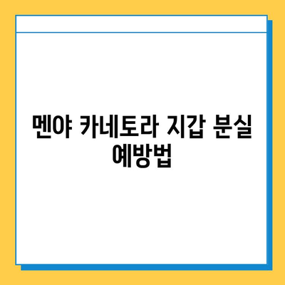 멘야 카네토라에서 지갑 잃어버렸을 때| 찾는 방법 & 주의 사항 | 분실물, 멘야 카네토라, 지갑