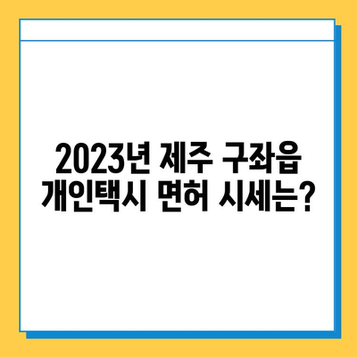 제주도 제주시 구좌읍 개인택시 면허 매매| 오늘 시세, 넘버값, 자격조건, 월수입, 양수교육  | 2023년 최신 정보