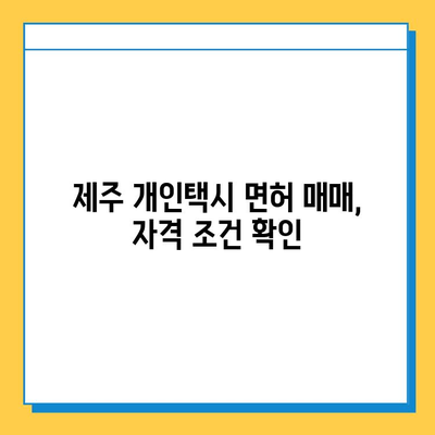 제주도 제주시 구좌읍 개인택시 면허 매매| 오늘 시세, 넘버값, 자격조건, 월수입, 양수교육  | 2023년 최신 정보