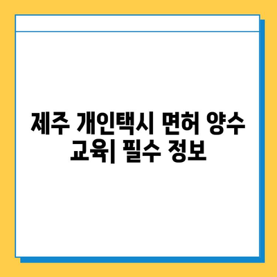 제주도 제주시 구좌읍 개인택시 면허 매매| 오늘 시세, 넘버값, 자격조건, 월수입, 양수교육  | 2023년 최신 정보