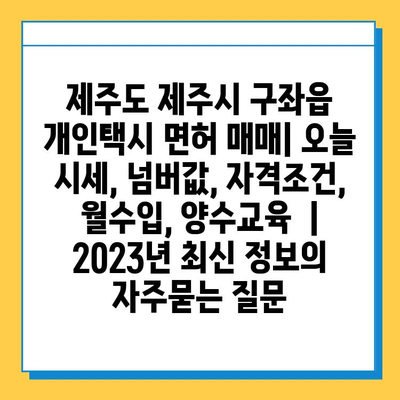 제주도 제주시 구좌읍 개인택시 면허 매매| 오늘 시세, 넘버값, 자격조건, 월수입, 양수교육  | 2023년 최신 정보