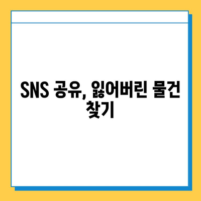 산리오 포토존에서 분실물 찾기| 꿀팁 & 주의사항 | 분실물, 찾기, 안내, 팁