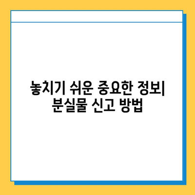 대중교통에서 잃어버린 소중한 물건, 찾는 방법 완벽 가이드 | 분실물, 찾기, 팁, 대중교통, 지하철, 버스