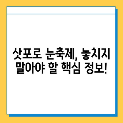 삿포로 눈축제 & 분실물 센터 완벽 가이드 | 겨울 여행 필수 정보, 꿀팁 대방출!