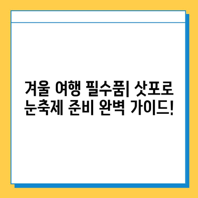 삿포로 눈축제 & 분실물 센터 완벽 가이드 | 겨울 여행 필수 정보, 꿀팁 대방출!