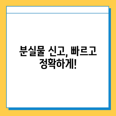 쏠비치 분실물센터 이용 완벽 가이드 | 분실물 신고, 찾는 방법, 주의 사항