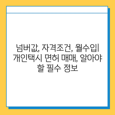 전라북도 순창군 풍산면 개인택시 면허 매매 가격| 오늘 시세, 넘버값, 자격조건, 월수입, 양수교육 | 상세 정보 및 가이드