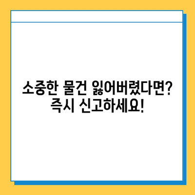 에버랜드 튤립 축제에서 잃어버린 물건 찾기| 분실물 센터 안내 및 유실물 보관/찾는 방법 | 에버랜드, 튤립 축제, 분실물, 유실물 센터, 보관, 찾는 방법