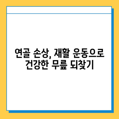 무릎 연골 주사 후 지속적인 관리| 회복과 재활 위한 필수 가이드 | 무릎 통증, 연골 손상, 재활 운동, 주의 사항