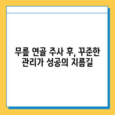 무릎 연골 주사 후 지속적인 관리| 회복과 재활 위한 필수 가이드 | 무릎 통증, 연골 손상, 재활 운동, 주의 사항