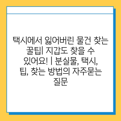 택시에서 잃어버린 물건 찾는 꿀팁| 지갑도 찾을 수 있어요! | 분실물, 택시, 팁, 찾는 방법