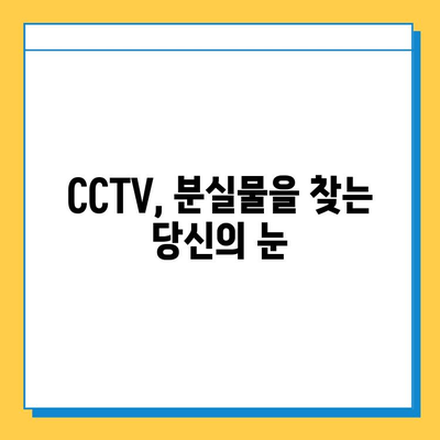 CCTV 활용, 분실물 찾기의 핵심 전략| 경찰의 비밀 무기 | 분실물, CCTV, 범죄 예방, 안전