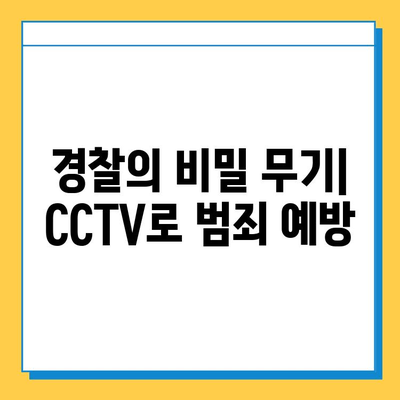 CCTV 활용, 분실물 찾기의 핵심 전략| 경찰의 비밀 무기 | 분실물, CCTV, 범죄 예방, 안전