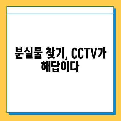 CCTV 활용, 분실물 찾기의 핵심 전략| 경찰의 비밀 무기 | 분실물, CCTV, 범죄 예방, 안전