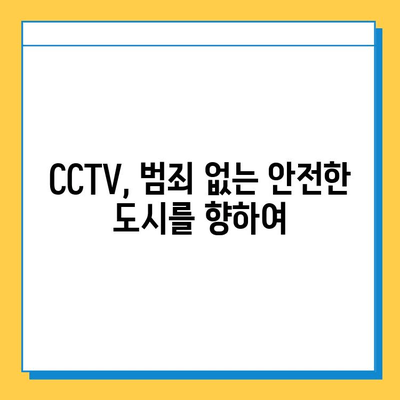 CCTV 활용, 분실물 찾기의 핵심 전략| 경찰의 비밀 무기 | 분실물, CCTV, 범죄 예방, 안전