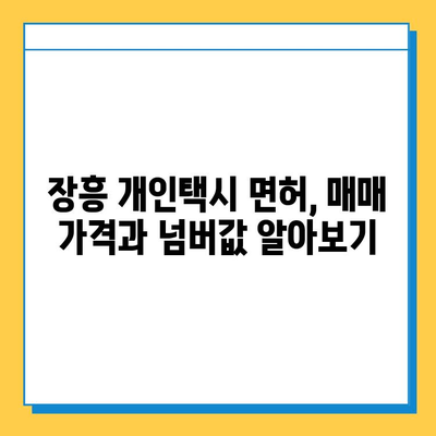 전라남도 장흥군 부산면 개인택시 면허 매매 가격| 오늘 시세 확인 및 양수 교육 정보 | 번호판, 넘버값, 자격조건, 월수입