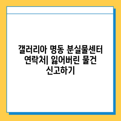 갤러리아 명동에서 잃어버린 물건 찾는 방법 | 분실물센터 연락처, 절차, 주의사항