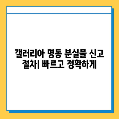 갤러리아 명동에서 잃어버린 물건 찾는 방법 | 분실물센터 연락처, 절차, 주의사항