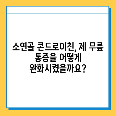 소연골 콘드로이친, 건강한 관절 유지 후기| 나의 솔직한 경험 | 관절 건강, 콘드로이친 효능, 관절 통증 완화