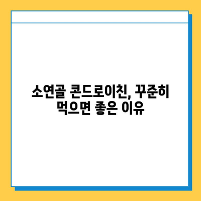 소연골 콘드로이친, 건강한 관절 유지 후기| 나의 솔직한 경험 | 관절 건강, 콘드로이친 효능, 관절 통증 완화