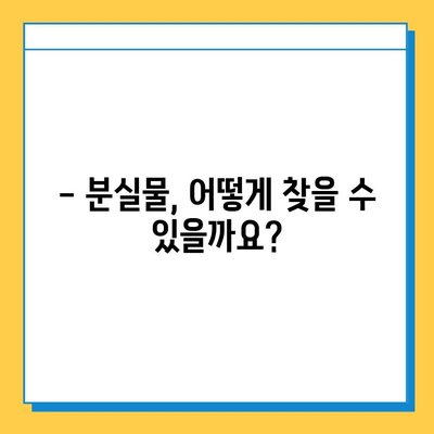 1년 새 분실물 폭증! 가장 많이 찾는 물건은? | 분실물, 급증, 2023년, 통계, 현황, 유형