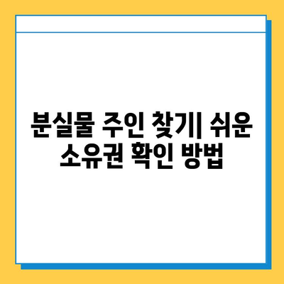 분실물 주인 찾기| 초보자를 위한 소유권 확인 가이드 | 분실물, 소유권, 확인, 절차, 팁