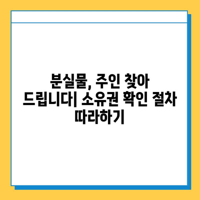 분실물 주인 찾기| 초보자를 위한 소유권 확인 가이드 | 분실물, 소유권, 확인, 절차, 팁