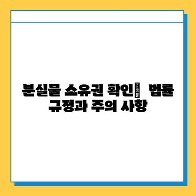 분실물 주인 찾기| 초보자를 위한 소유권 확인 가이드 | 분실물, 소유권, 확인, 절차, 팁