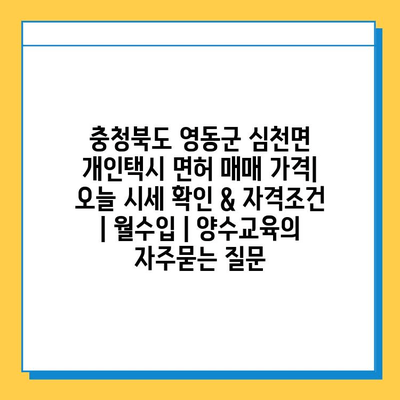 충청북도 영동군 심천면 개인택시 면허 매매 가격| 오늘 시세 확인 & 자격조건 | 월수입 | 양수교육