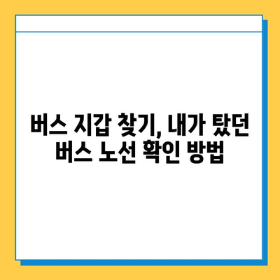 버스에서 지갑을 잃어버렸을 때? 당황하지 말고 이렇게 대처하세요! | 분실물 찾기, 버스 지갑, 대처법, 꿀팁