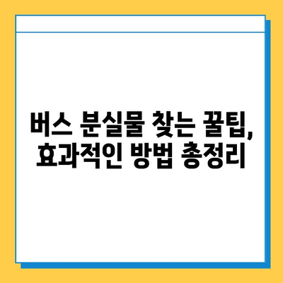 버스에서 지갑을 잃어버렸을 때? 당황하지 말고 이렇게 대처하세요! | 분실물 찾기, 버스 지갑, 대처법, 꿀팁