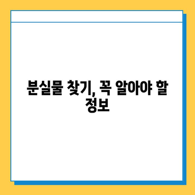 서울 지하철 분실물 찾기 완벽 가이드| 센터 이용부터 효과적인 검색까지 | 지하철, 분실물, 물건 찾기, 센터