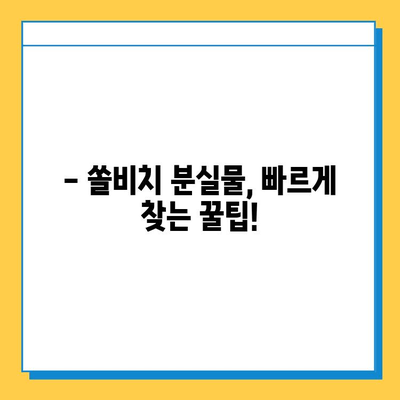 쏠비치 분실물 센터에서 소중한 소지품 찾는 방법 | 분실물 신고, 찾는 과정, 연락처, 주의 사항