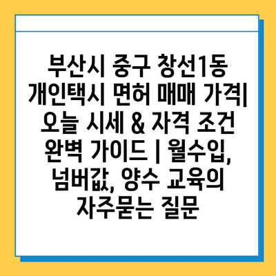 부산시 중구 창선1동 개인택시 면허 매매 가격| 오늘 시세 & 자격 조건 완벽 가이드 | 월수입, 넘버값, 양수 교육