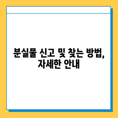 에버랜드 튤립 축제에서 물건을 잃어버렸을 때| 분실물 센터 이용 가이드 | 에버랜드, 튤립 축제, 분실물, 찾기, 안내