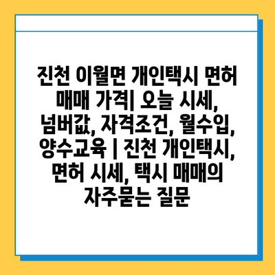 진천 이월면 개인택시 면허 매매 가격| 오늘 시세, 넘버값, 자격조건, 월수입, 양수교육 | 진천 개인택시, 면허 시세, 택시 매매