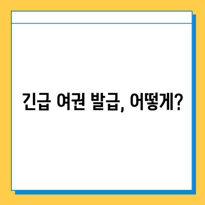 일본 여행 중 여권 분실? 긴급 여권 재발급 절차 완벽 가이드 | 여권 분실 신고, 긴급 여권 발급, 일본 대사관