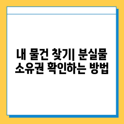 분실물 소유권 확인| 나에게 돌려받는 완벽 가이드 | 분실물, 소유권, 확인, 법률, 절차