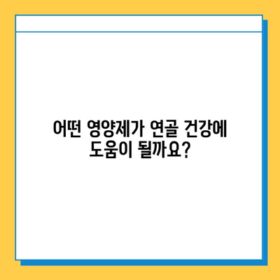 관절 연골 건강, 영양제 선택이 중요한 이유 | 관절 건강, 연골 보호, 영양제 추천, 건강 정보