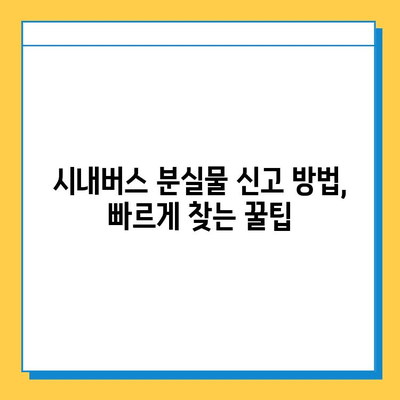 천안 시내버스에서 물건을 잃어버렸나요? 분실물 찾는 방법 | 천안 대중교통 분실물 센터, 시내버스 분실물, 분실물 신고, 연락처