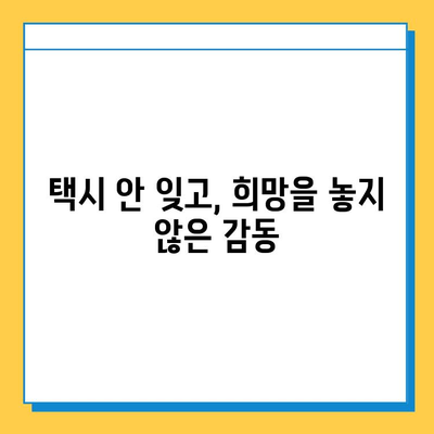 택시에서 잃어버린 지갑, 기적적으로 찾은 감동 실화 | 택시, 분실물, 감동 이야기